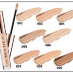 Topface lasing finsh concealer 3.5ml PT461