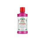 MILD MINT MOUTH WASH EUTHYMOL MILD BLEND 500 ML